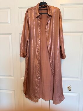 Zara Rust Satin Button-Up Dress